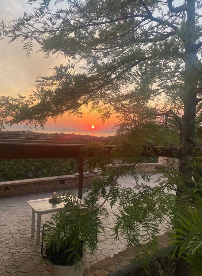 Pistachio Guesthouse, Παραδοσιακός Ξενώνας Vathí 外观 照片