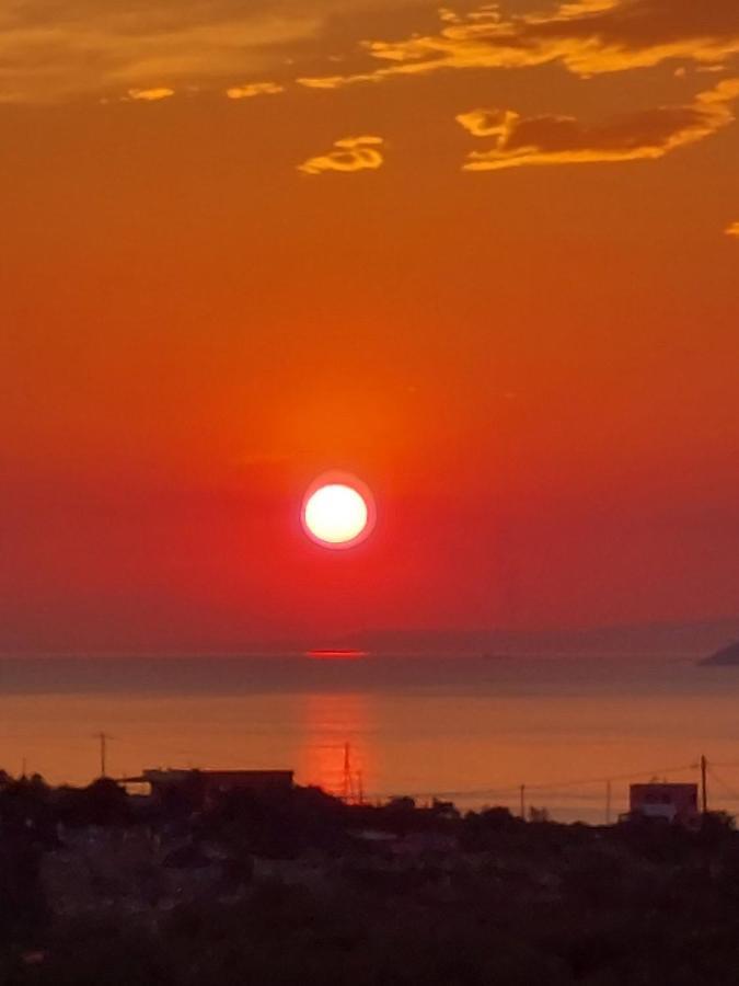 Pistachio Guesthouse, Παραδοσιακός Ξενώνας Vathí 外观 照片